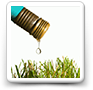 Lawn Watering Tips: Better Results and Less Water